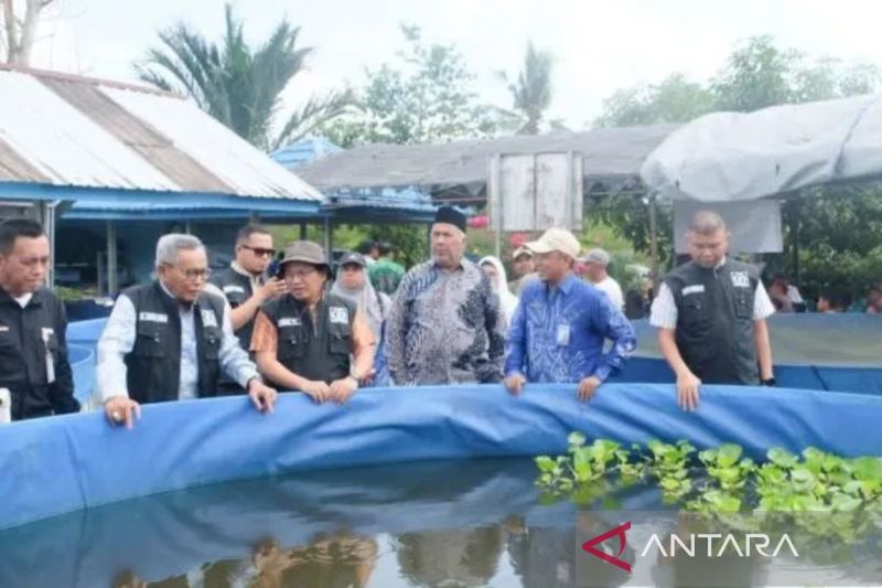 dprd-kalsel-dorong-penguatan-budidaya-ikan-gabus-di-hst