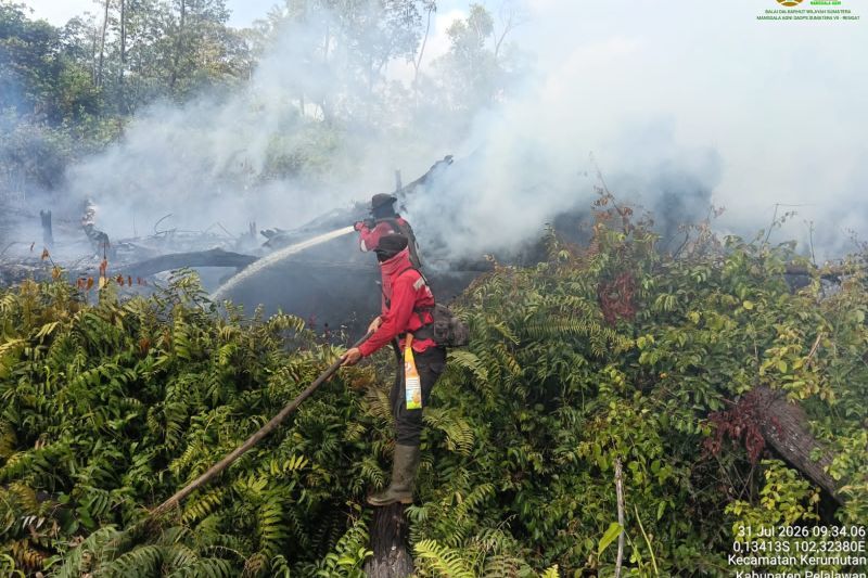Manggala Agni berjibaku padamkan karhutla 12 hektar di Pelalawan Riau