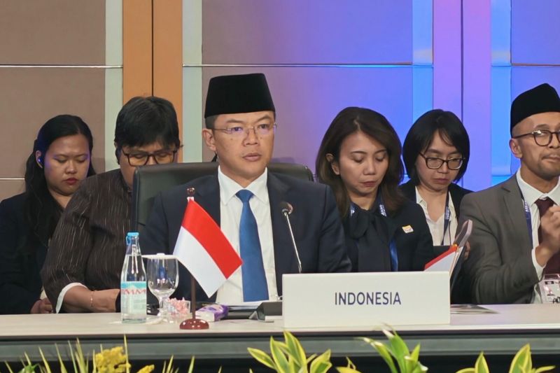 Indonesia usulkan forum perlindungan Warga Negara ASEAN