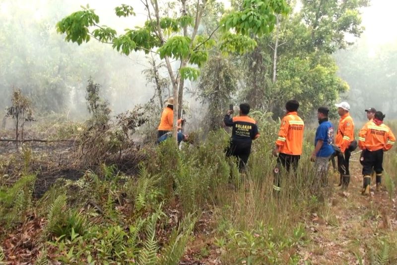 Kejar titik api, BPBD tekan luasan karhutla di Palangka Raya