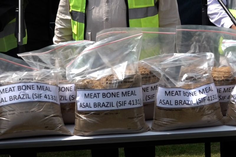 Barantin musnahkan 312 ton MBM Brazil mengandung porcine