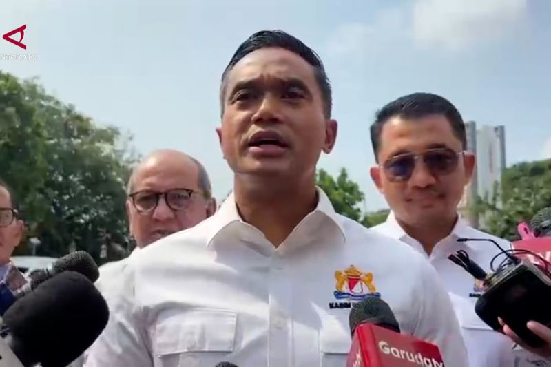 Temui Presiden, pimpinan Kadin se-Indonesia bahas ekonomi daerah