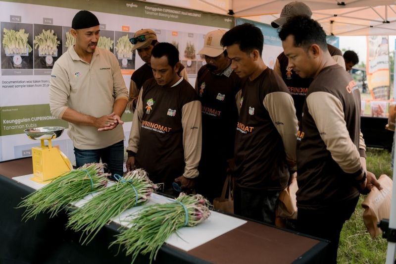 syngenta-indonesia-dorong-inovasi-pertanian-berkelanjutan