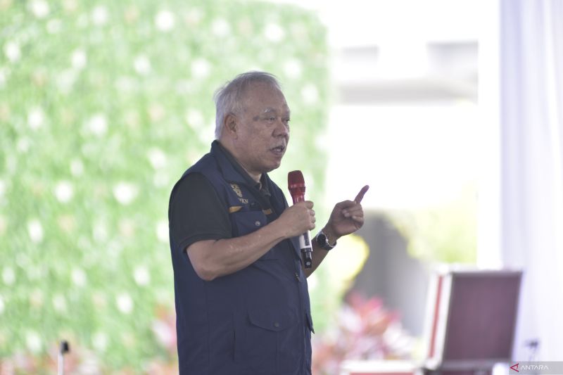 IKN akan dijadikan percontohan rehabilitasi mangrove