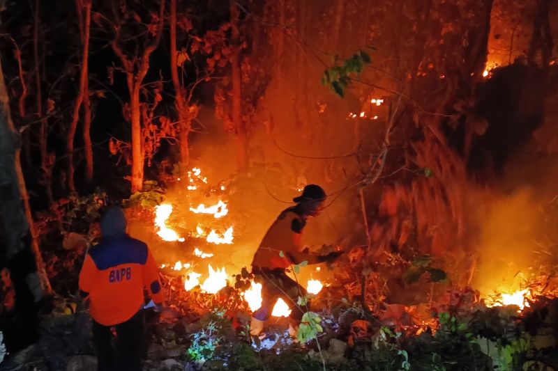 BPBD sebut karhutla perbatasan Situbondo-Bondowoso capai 4 hektare