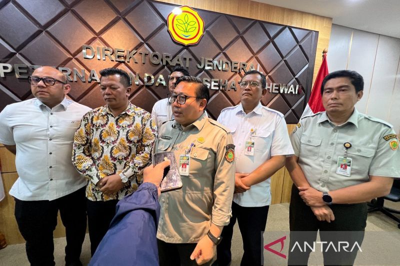 kementan-usulkan-telur-masuk-skema-cpp-demi-lindungi-peternak-rakyat