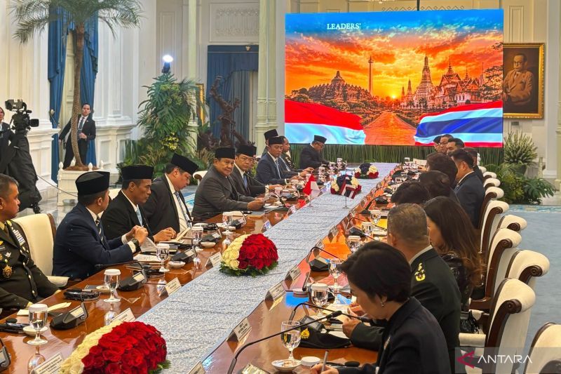 Celios dorong penguatan UMKM di kerja sama industri halal RI-Thailand