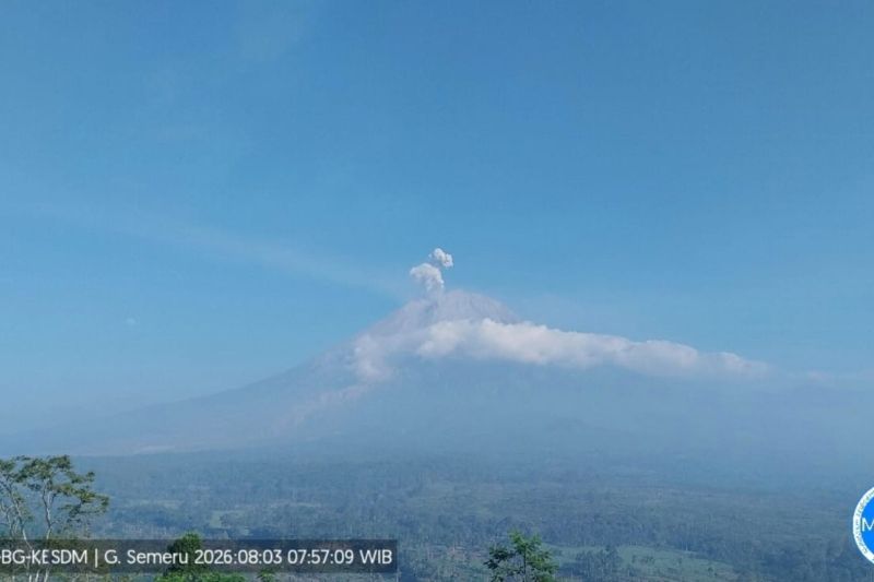 Semeru lima kali erupsi dengan tinggi letusan hingga 700 meter
