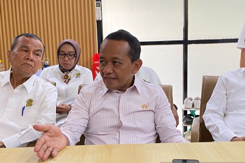 Pemerintah petakan kandungan logam tanah jarang di ekspor mineral