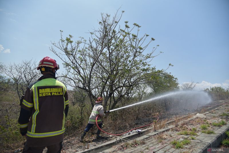 BNPB: Karhutla di Tojo Una-una buntut dari pembukaan lahan perkebunan