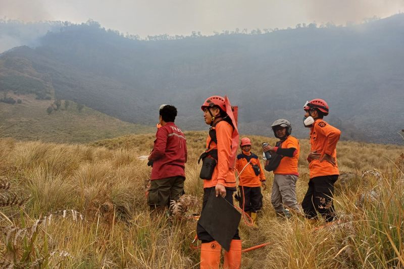 BPBD Probolinggo siaga penuh, antisipasi kebakaran Gunung Bromo meluas