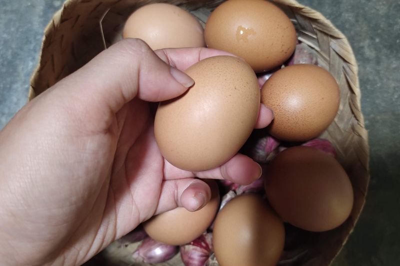 Telur retak masih aman dimakan? Ini penjelasan ahli