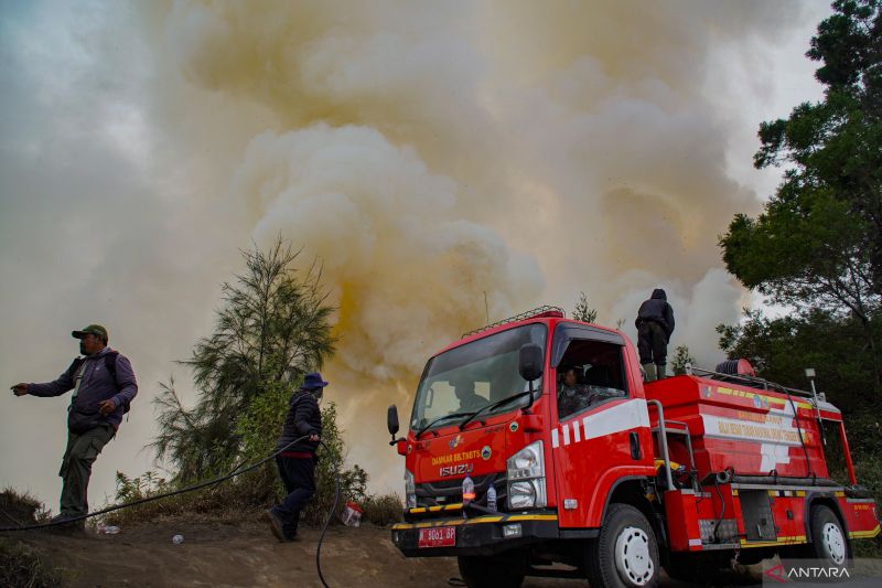 BNPB: Luas lahan terbakar  di Gunung Bromo mencapai 60 hektare