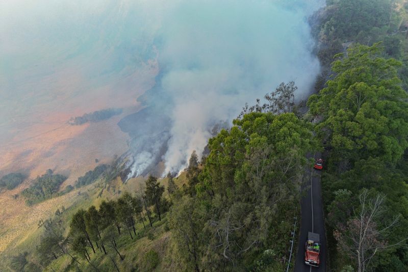 Kebakaran hutan melanda Bromo, sebagian akses wisata ditutup demi keselamatan