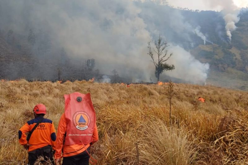 Karhutla di Gunung Bromo meluas hingga Probolinggo capai 7,9 hektare