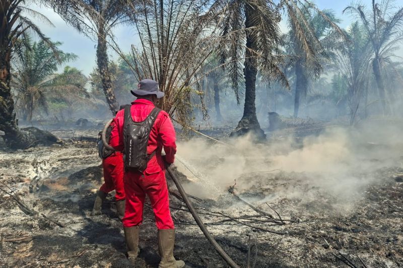 Manggala Agni masih berjibaku padamkan karhutla 45 hektare di Riau
