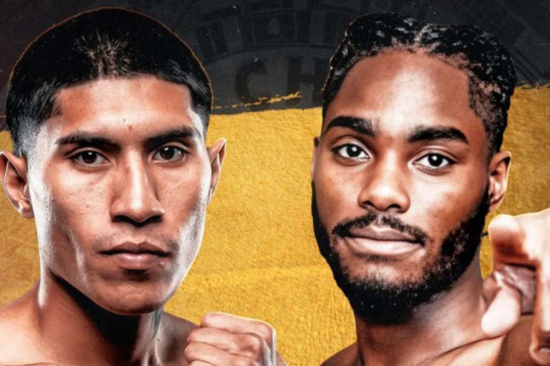WBC umumkan Jordan dan Luis naik ring perebutkan sabuk kelas ringan