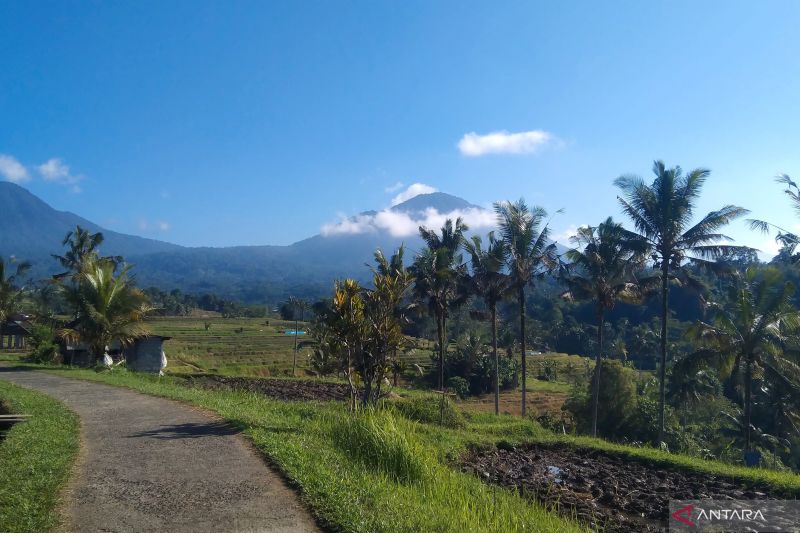BI Bali fasilitasi distribusi pangan antisipasi El Nino
