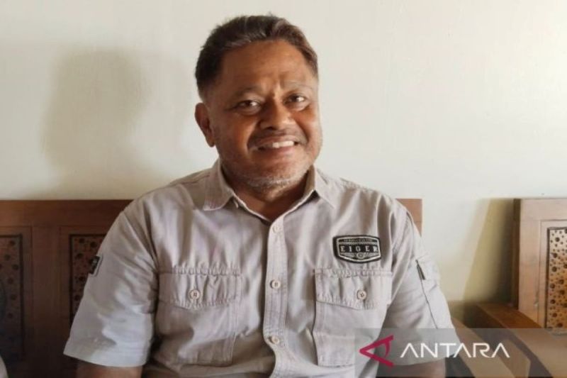 BPBD Pulang Pisau: Angin menjadi tantangan penanganan karhutla