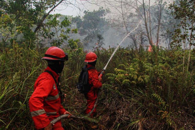 Madani minta status siaga darurat di Papua Selatan diperpanjang