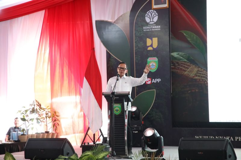 Wamendagri minta penghijauan jadi gerakan berkelanjutan di daerah