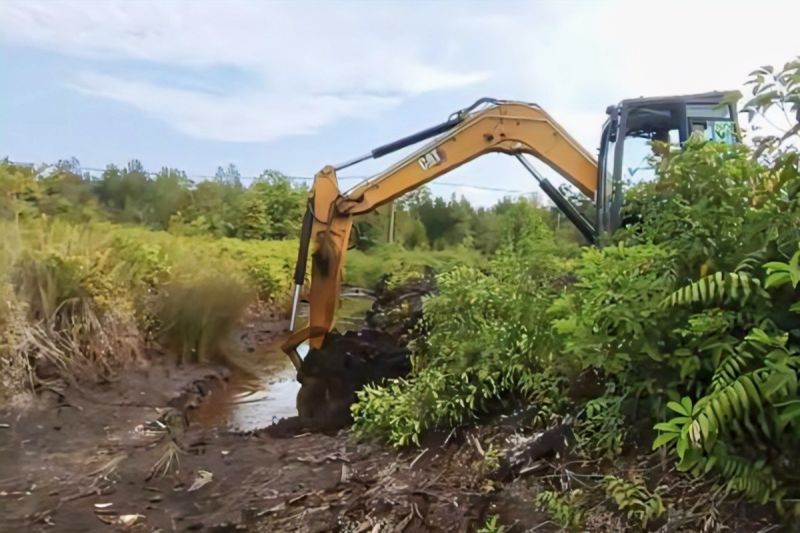 Dishut Kalteng perkuat penanganan karhutla melalui normalisasi kanal
