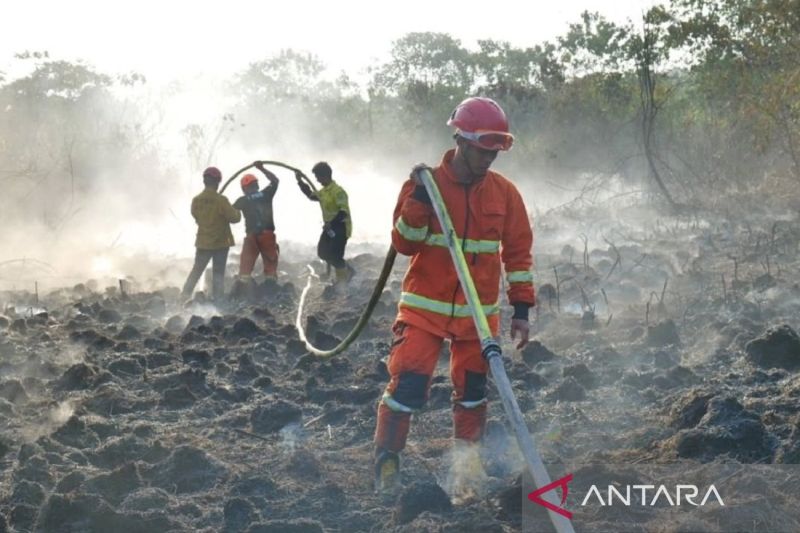 BNPB: Tidak ada korban dalam karhutla di Kutai dan Paser Kaltim