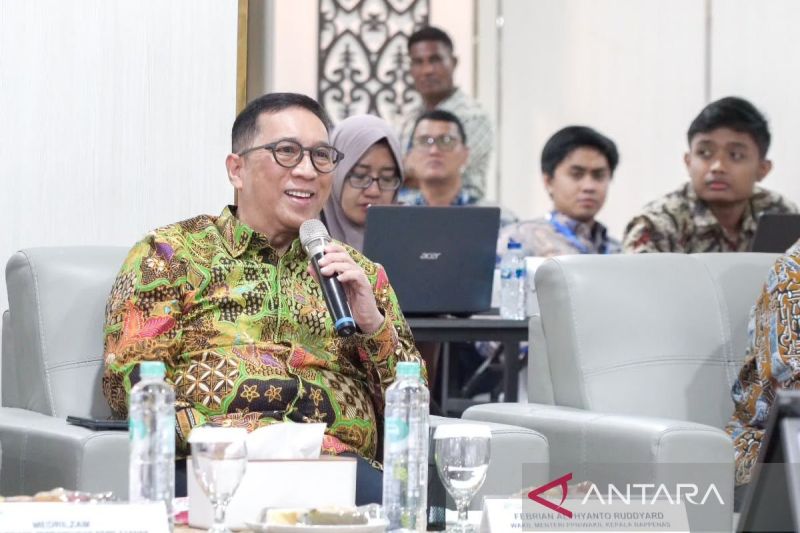 Bappenas: Pembangunan Papua jadi ikhtiar untuk kemajuan kawasan