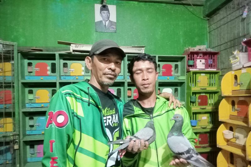 Posmeti gelar Turnamen Merpati Tinggi Tomprang sambut HUT RI