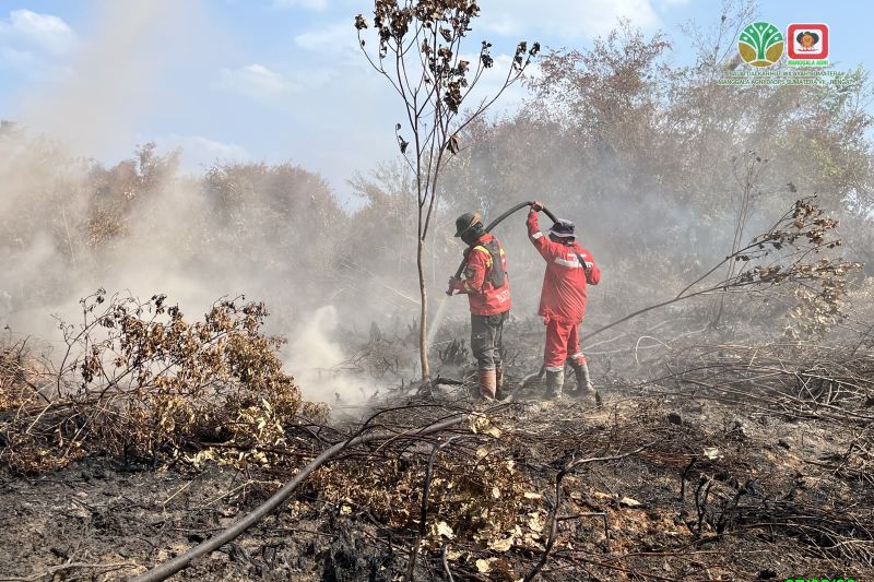 Manggala Agni tangani karhutla di Riau seluas 100 hektare lebih