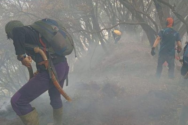 Kemenhut tangani kebakaran di Gunung Gede Pangrango, tutup pendakian