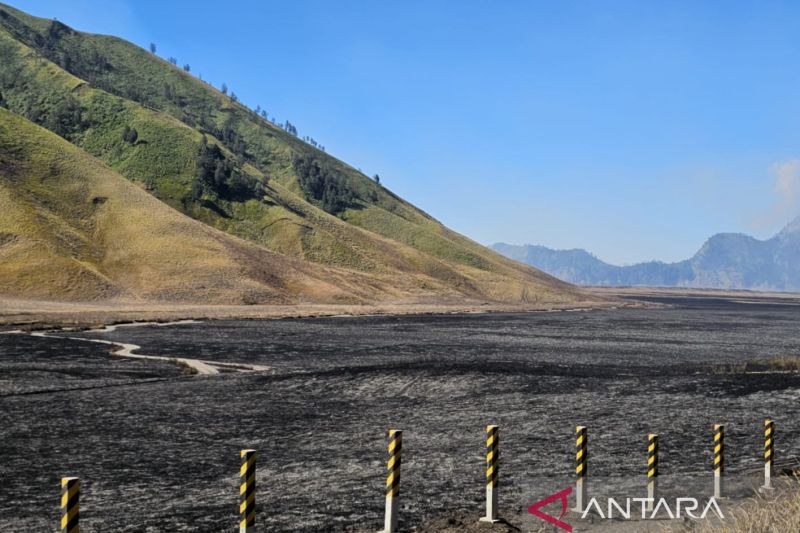 Menhut serahkan penyelidikan penyebab karhutla di Bromo kepada aparat