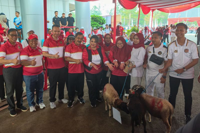Kemenimipas sambut HUT RI dengan jalan santai hingga bersih-bersih TMP