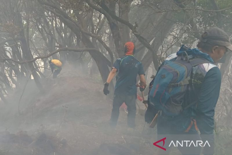 TNGGP catat 150 petugas gabungan masih berupaya padamkan api