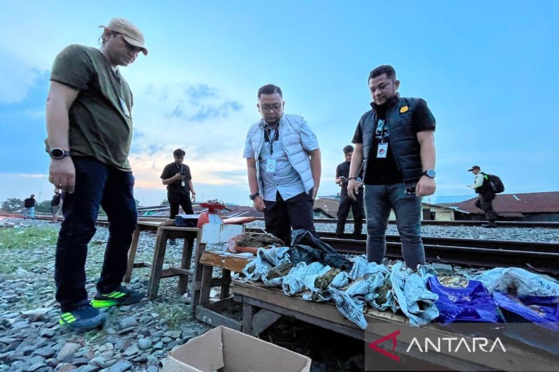 Polrestabes Medan bongkar sarang narkoba di bantaran rel Tembung, tiga kg ganja diamankan