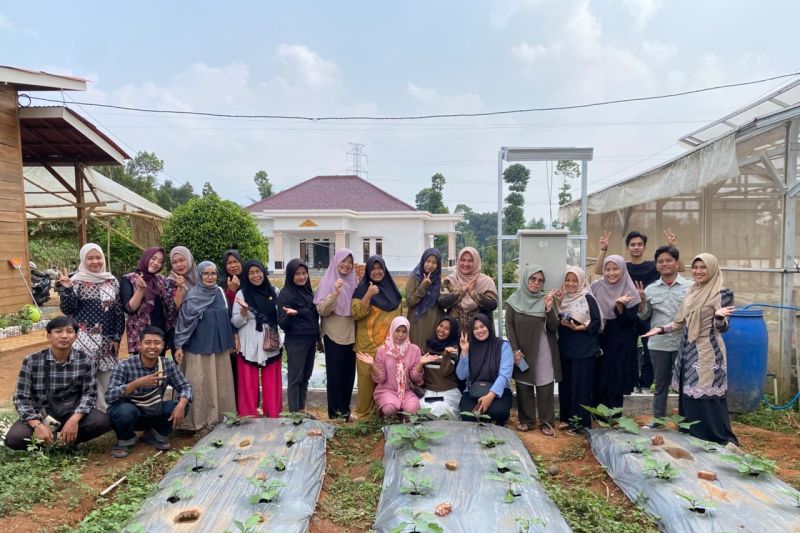Polinela-Unila terapkan IoT dan PLTS untuk penyiraman kebun terong