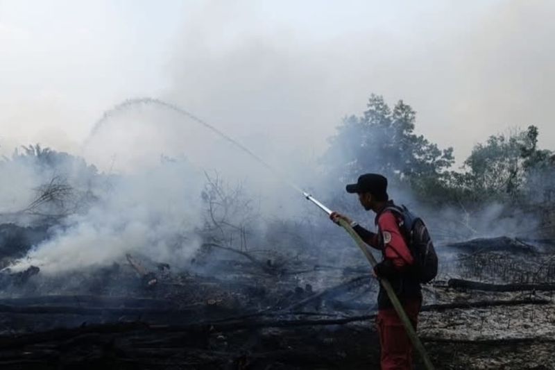 Kemenhut perkuat deteksi dini karhutla, pantau 73 hotspot di Kalsel