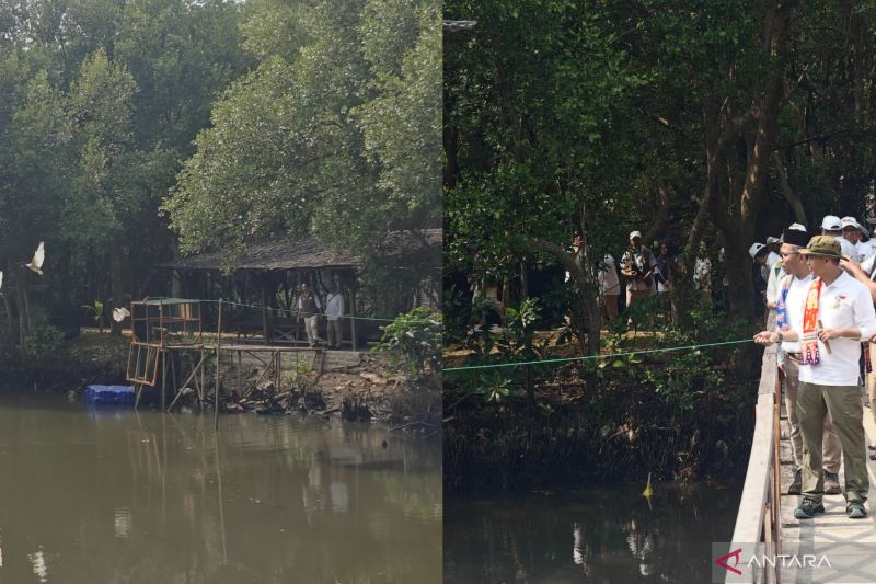 Kemenhut lepasliarkan 15 burung air di TWA Angke Jakarta