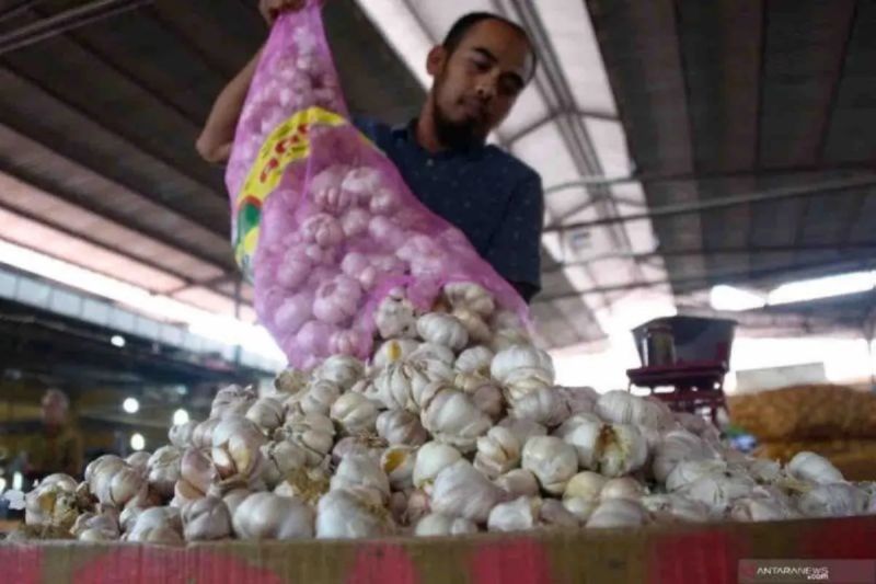 BPS: Harga bawang putih mulai turun dan relatif terkendali