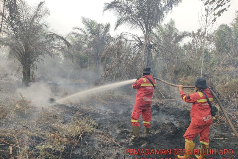 Manggala Agni masih berjibaku padamkan karhutla di Rohil dan Bengkalis