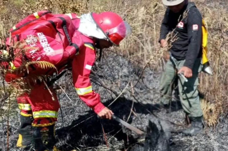 Balai TNGR: Kebakaran lahan di kawasan Rinjani telah padam