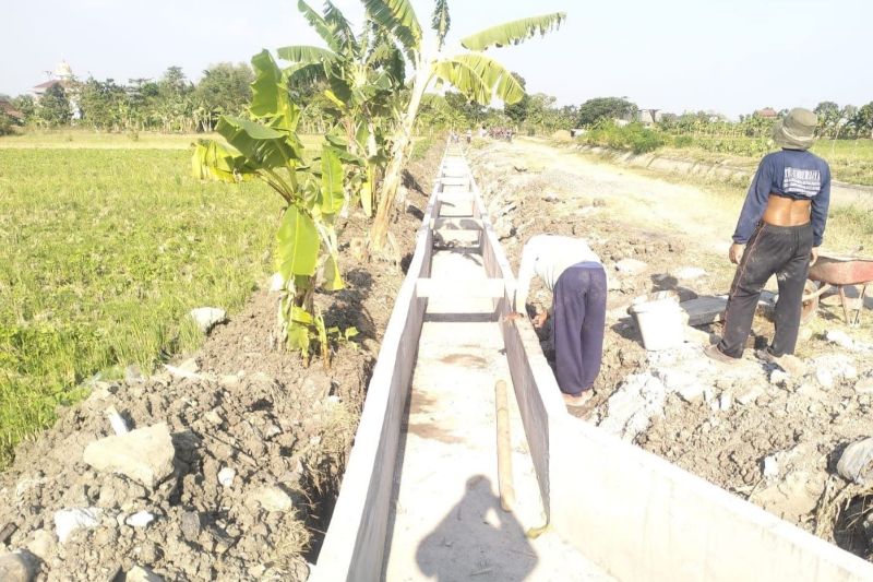 Demak dibantu irigasi di 115 lokasi untuk optimalisasi pertanian