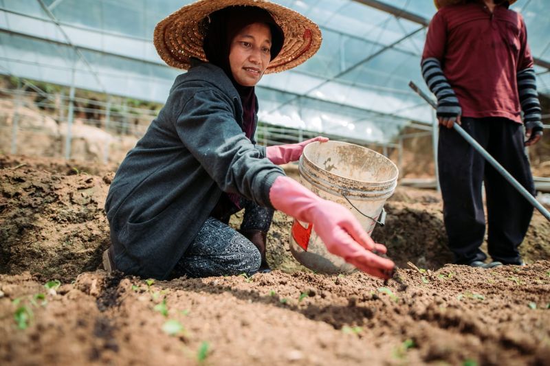 Beanstalk AgTech Umumkan Peluncuran Monsoon Ventures untuk Mempercepat Komersialisasi Teknologi Pertanian di Asia Tenggara