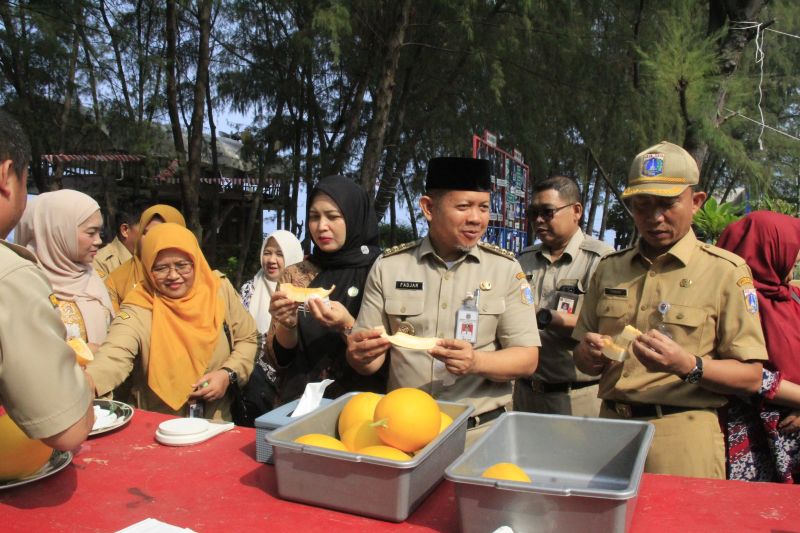 Bupati Kepulauan Seribu minta "urban farming" terus dikembangkan