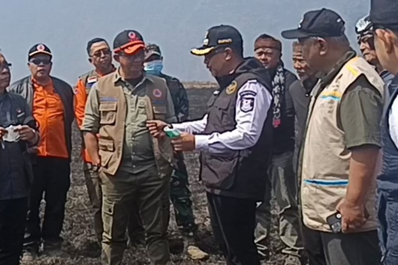 BNPB targetkan dua titik karhutla Bromo bisa padam pekan ini