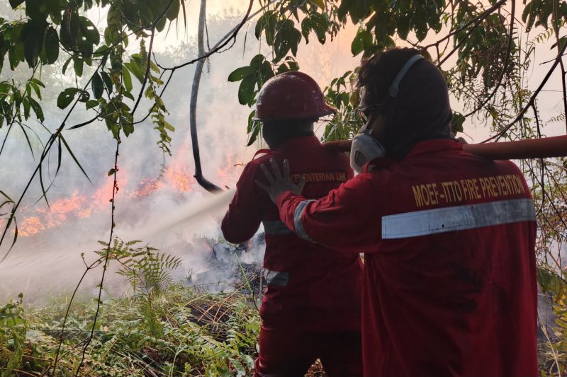 Dishut Kaltara libatkan masyarakat cegah dan padamkan kebakaran hutan