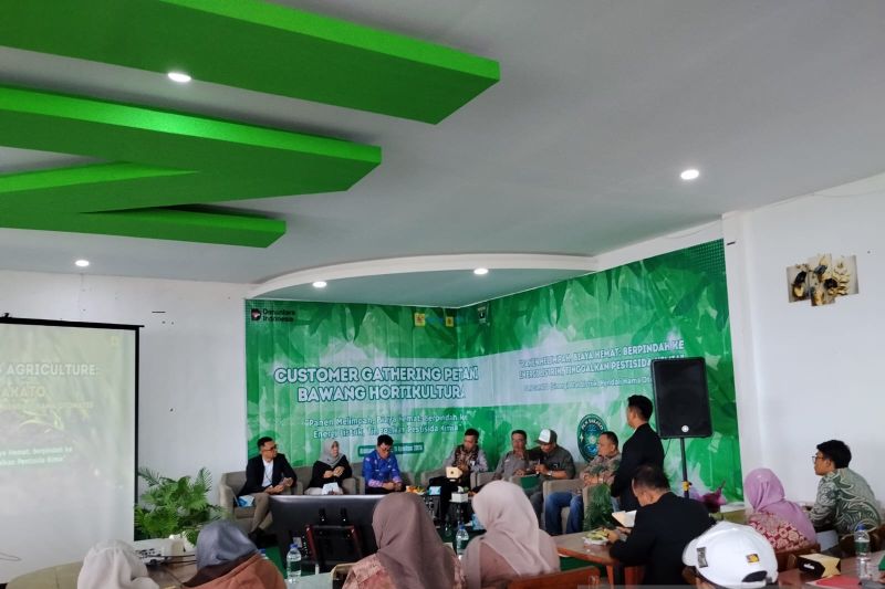 Pemkab Solok ajak petani kembangkan bawang merah varietas campion