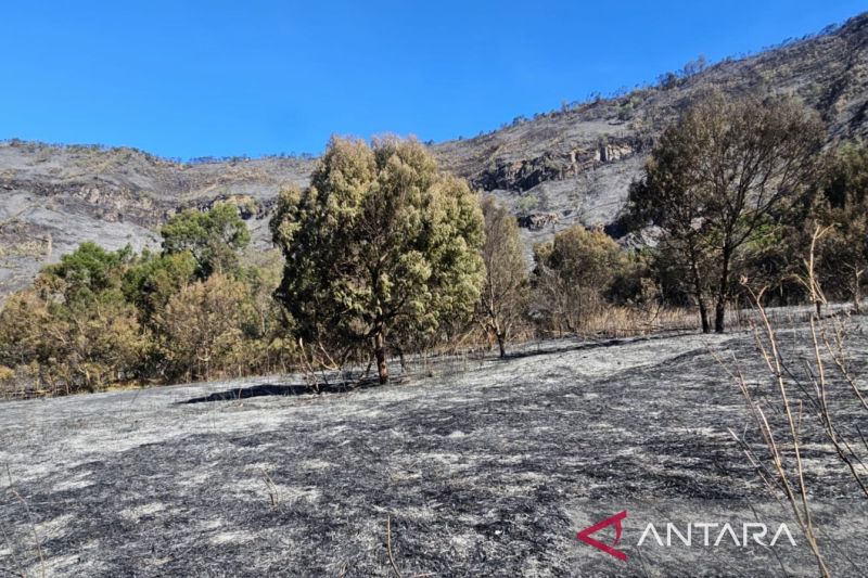 TNBTS sebut 2.056 wisatawan ajukan "refund" usai Bromo ditutup total