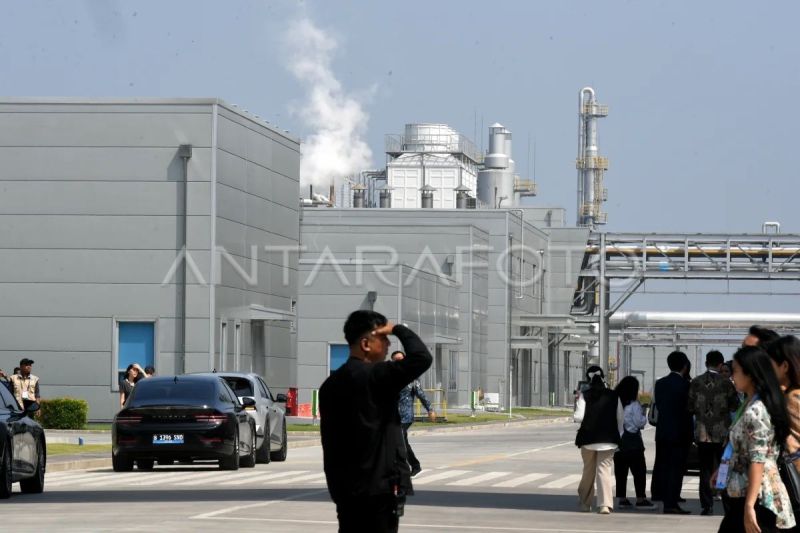 Akademisi sebut pentingnya bangun rantai nilai terintegrasi hilirisasi