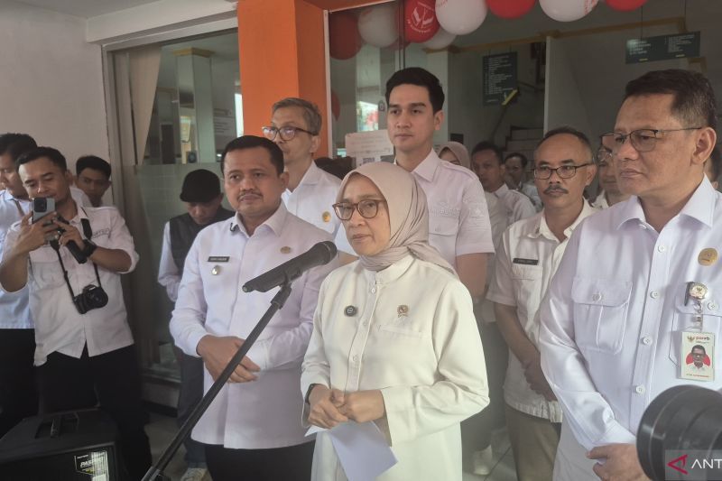 Menteri PAN-RB pastikan keamanan data Perlinsos digital terjaga